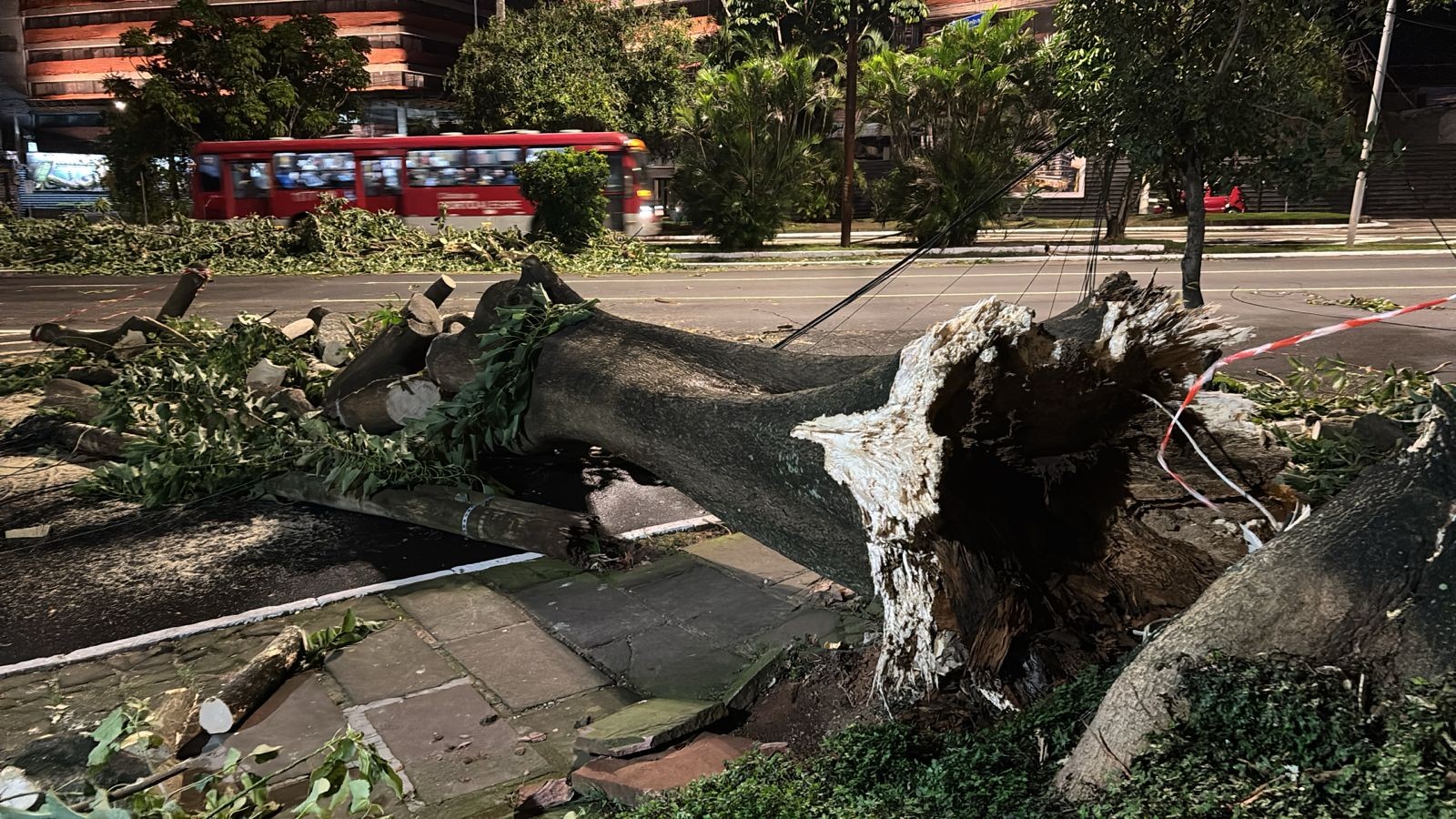 Queda de árvores, aulas suspensas e ventos acima de 80 km/h: chuva causa transtornos em diferentes regiões do RS