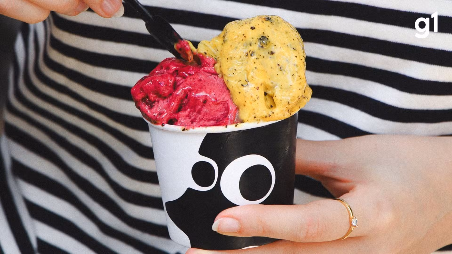 Você sabia que existe um Dia Mundial do Pinguim? Evento em Porto Alegre vai distribuir sorvete de graça para 'fãs' da ave típica da Antártida