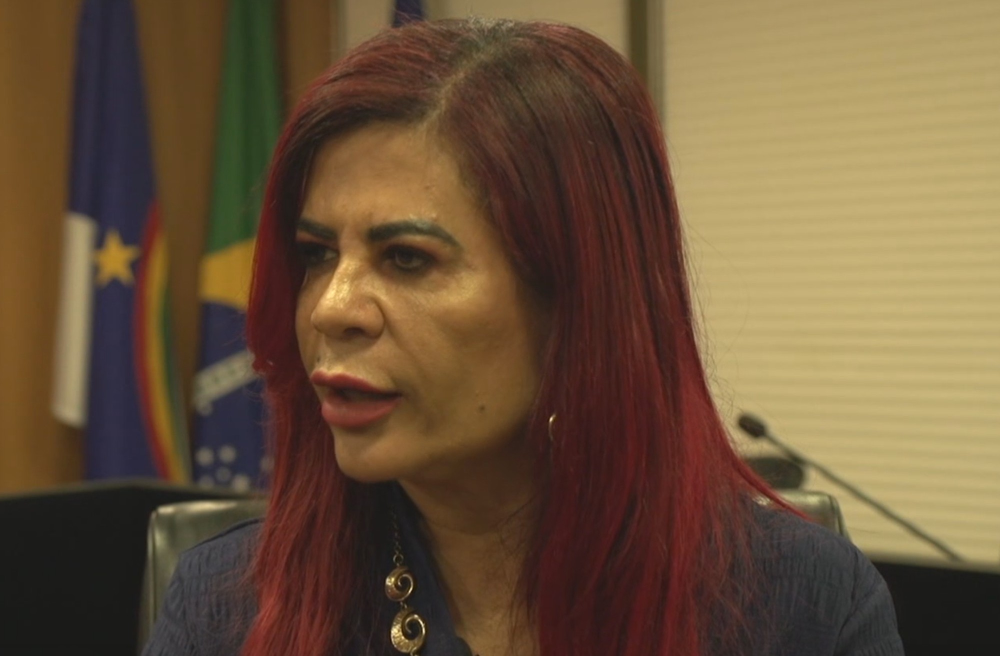 Comissão de Defesa dos Direitos da Mulher da Alepe aprovou 82 propostas em 2025: 'grande problema é a execução', diz deputada