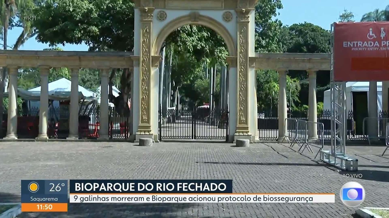 BioParque informa que exame detectou gripe áviaria em galinhas-d'angola que morreram no local