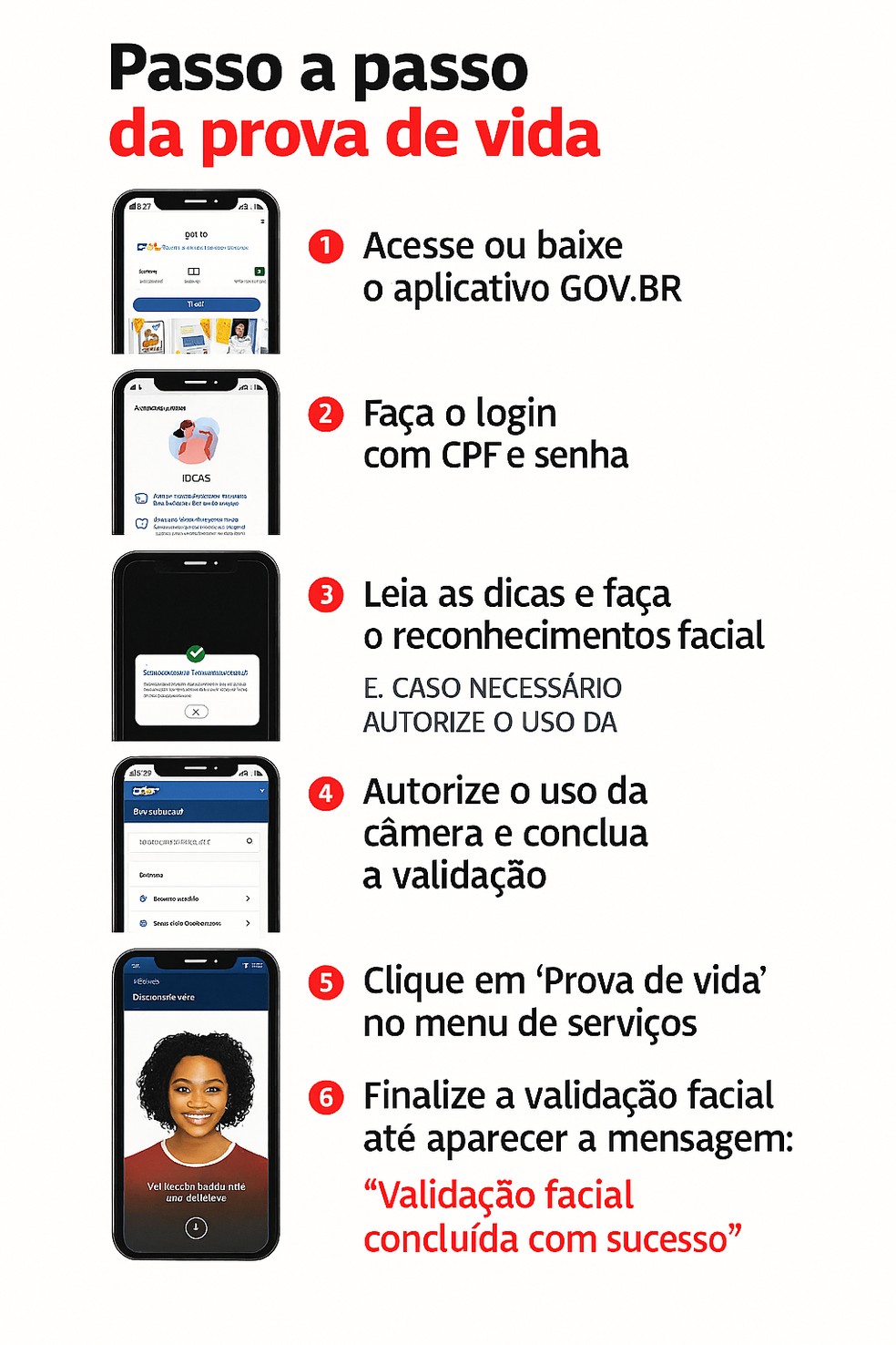 Passo a passo da prova de vida do Ipsemg. — Foto: Governo de Minas Gerais