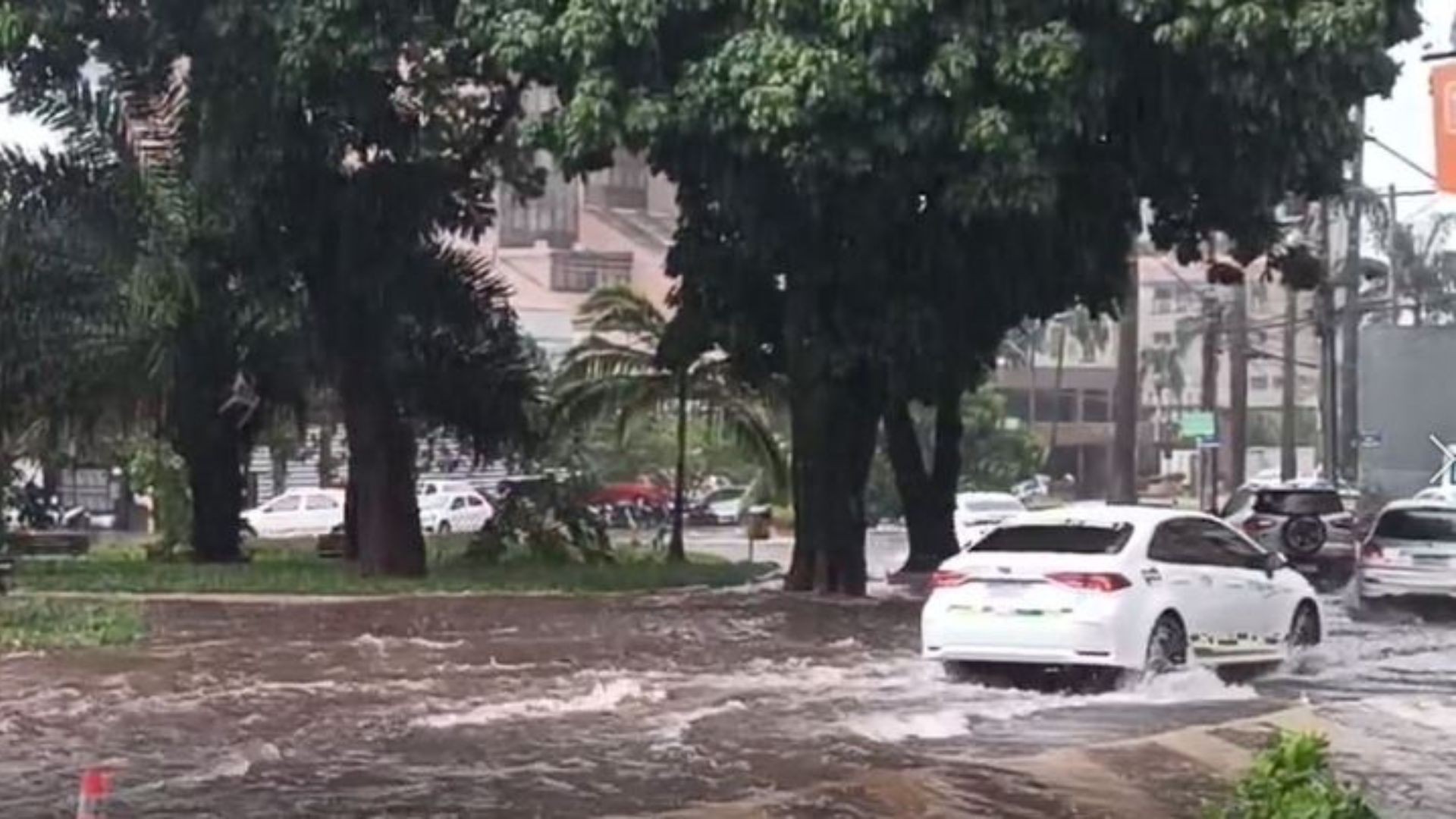 Goiânia tem mais de 100 pontos de alerta para alagamentos, inundações e enxurradas; veja pontos mais críticos