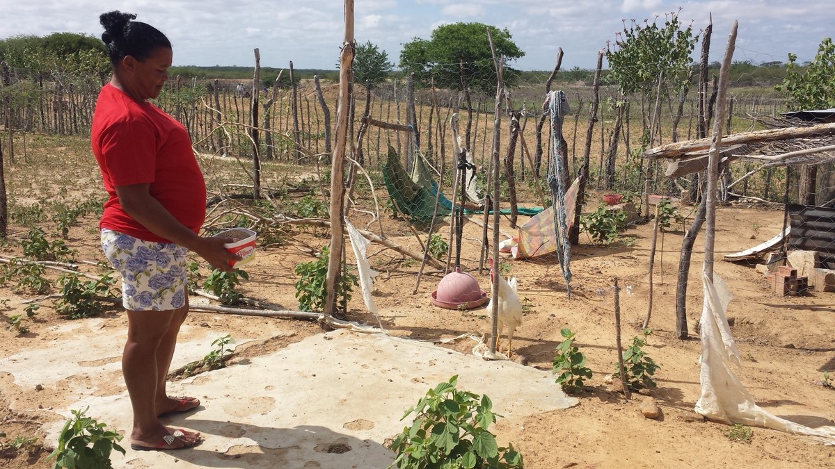 agricultores-de-petrolina-cadastrados-no-garantia-safra-j-podem