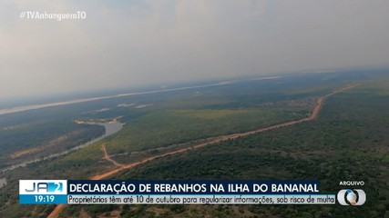 Proprietários na Ilha do Bananal tem até 10 de outubro para regularizar rebanhos bovinos