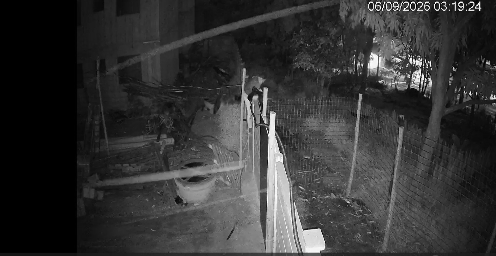 VÍDEO: câmera flagra homem durante furto de 30 quilos de fios em condomínio de Limeira