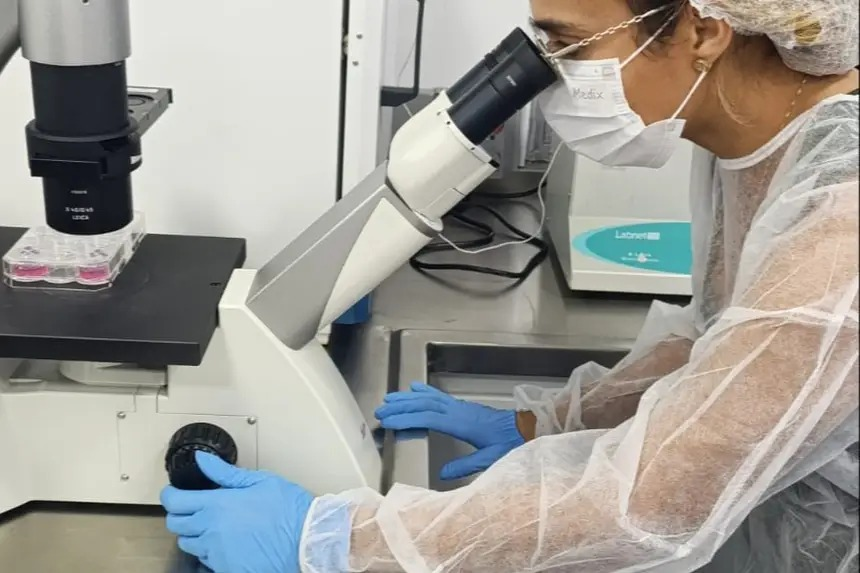 Fapespa lança edital de R$ 2,1 milhões para pesquisas em biotecnologia lideradas por mulheres no Pará