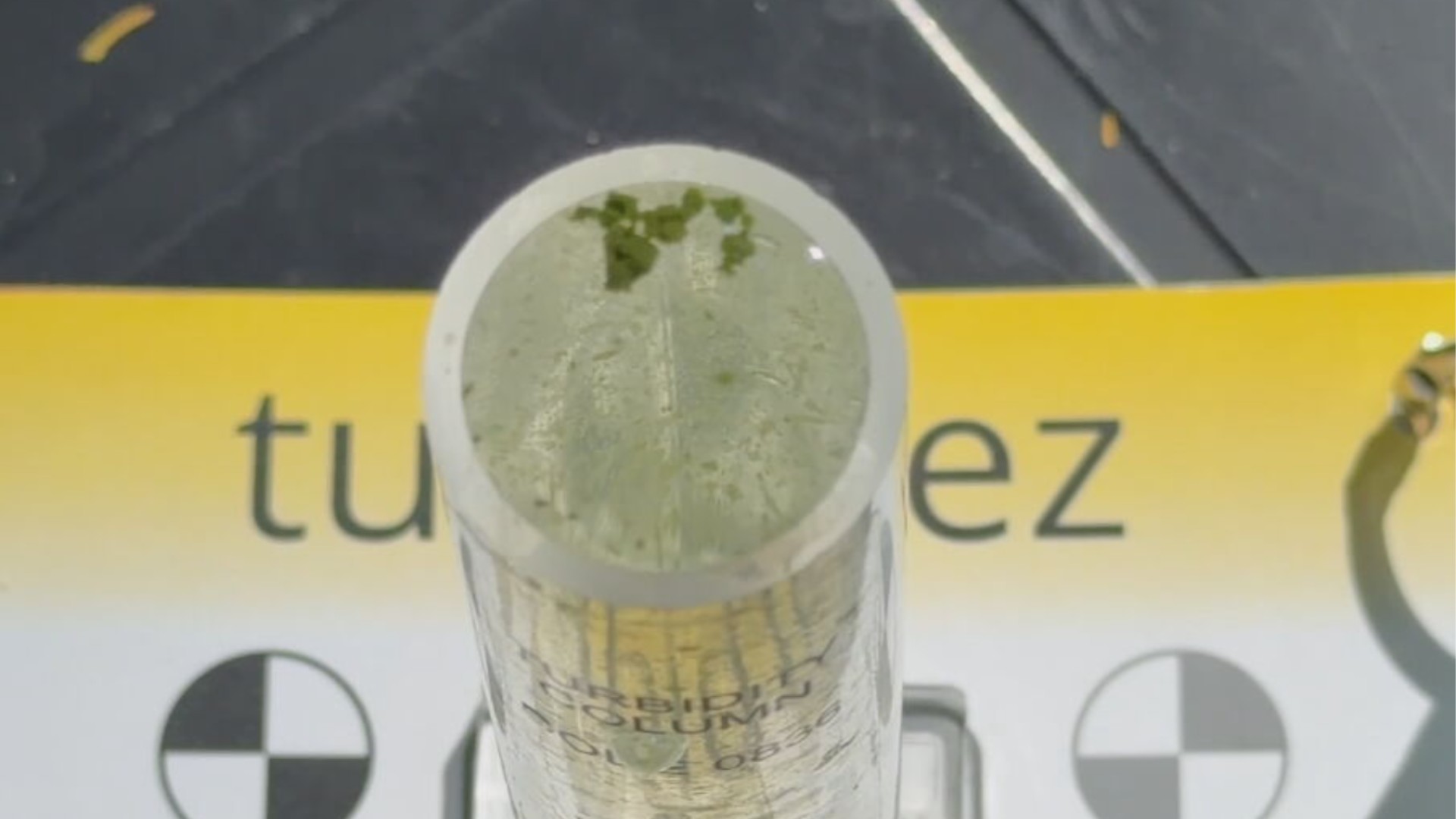 Análises detectam compostos químicos e indicam aumento da poluição no Rio Tietê no interior de SP