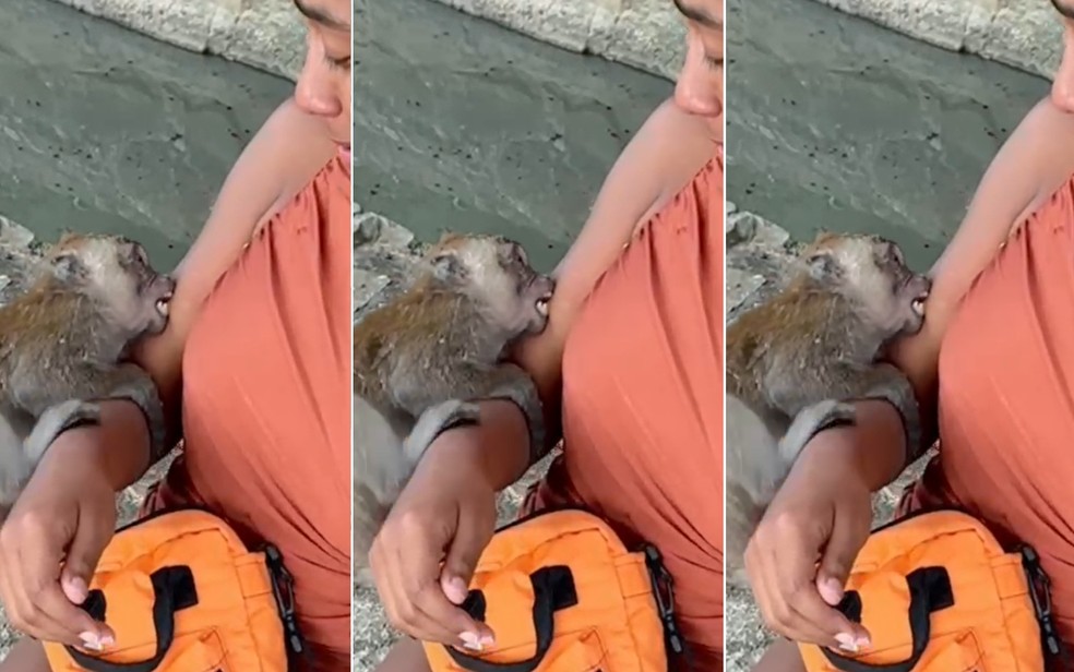 Influenciadora digital foi mordida por um macaco durante passeio na praia. — Foto: Redes Sociais