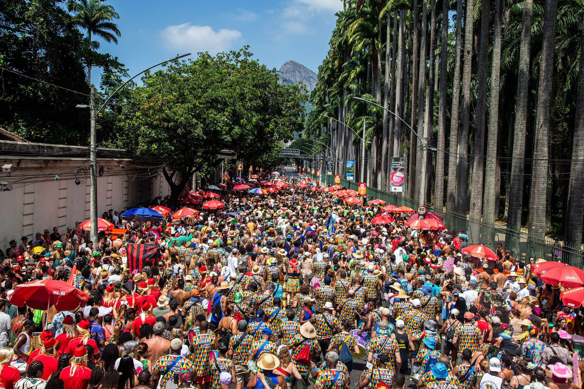 Fogo & Paixão, Suvaco do Cristo, Cordão do Boitatá, Gigantes da Lira e outros blocos levam milhares de foliões às ruas do Rio; FOTOS  