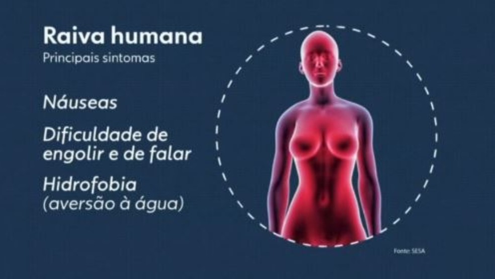 Em 17 anos, esse é o quinto caso de raiva humana transmitida por saguis no Ceará. — Foto: Reprodução