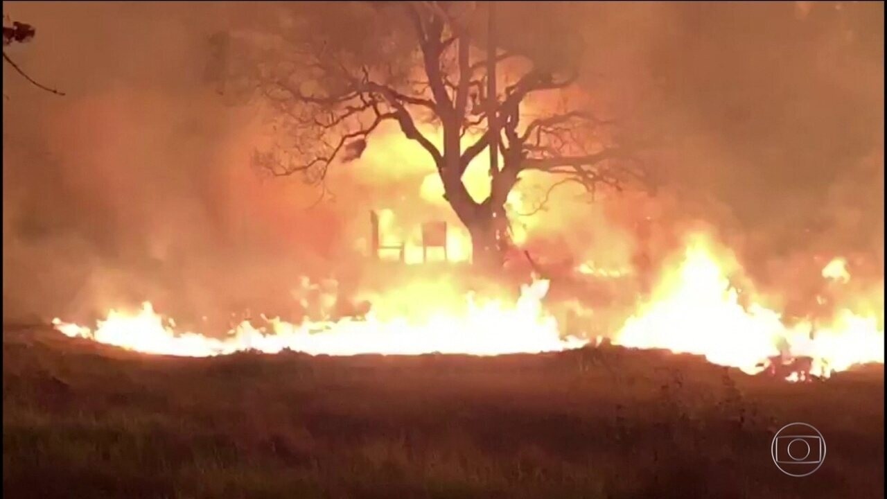 Vibrant Ue: Incêndios Florestais Já Queimaram Mais De 1 Milhão De Hectares Background in HD Vibrant Ue: Incêndios Florestais Já Queimaram Mais De 1 Milhão De Hectares Background in HD