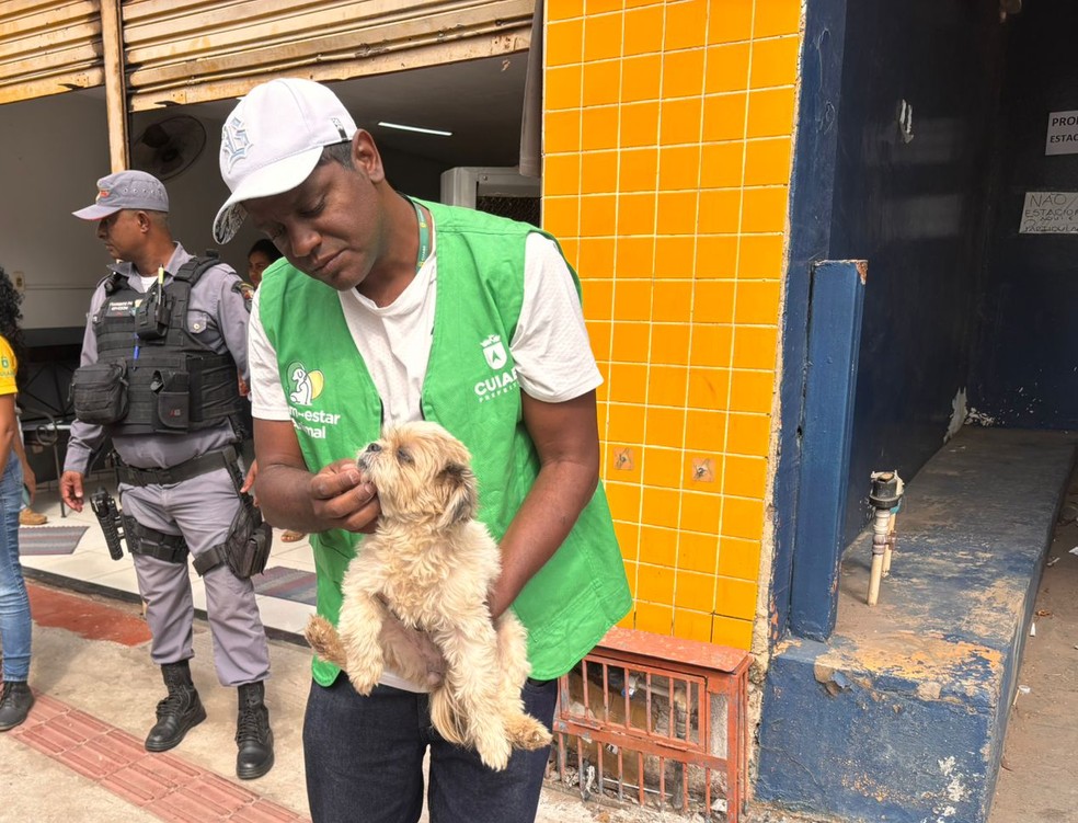 Cachorro da família foi resgatado do local pelo Bem Estar Animal — Foto: Renato Silva/TVCA