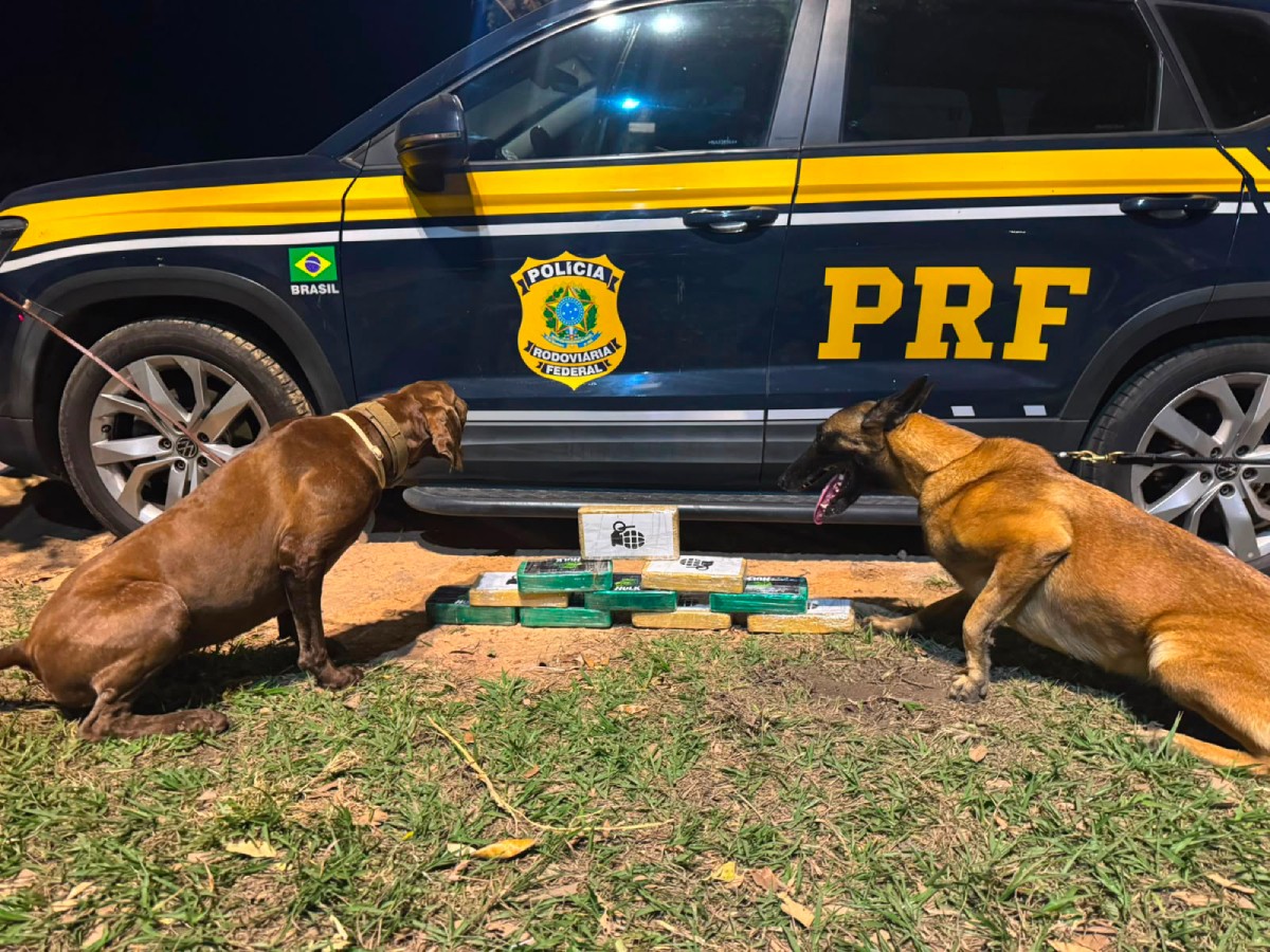 Mulher é presa com quase 10 kg de drogas em ônibus na Serra das Araras, em Piraí