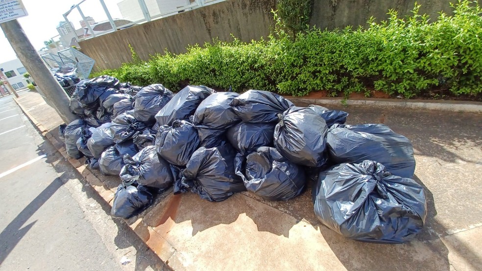4 de 4
Coleta de lixo funcionar&aacute; normalmente &mdash; Foto: Fernando Savioli / TV TEM