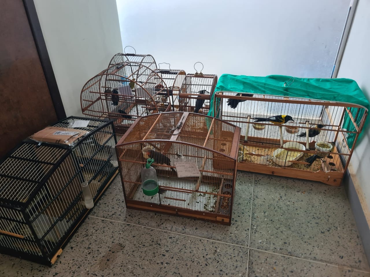 Arma e pássaros silvestres são apreendidos após policiais suspeitarem de carga em teto de carro na MGC-122