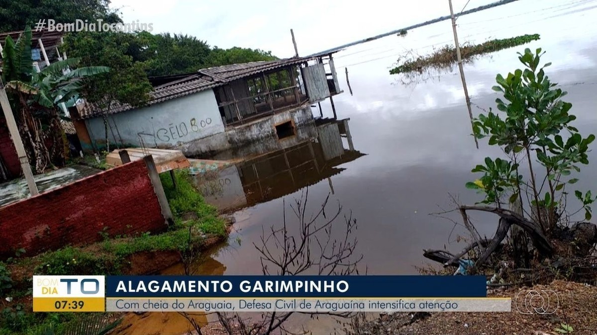 Enchente no rio Araguaia deixa povoado em situação de alerta no norte ...