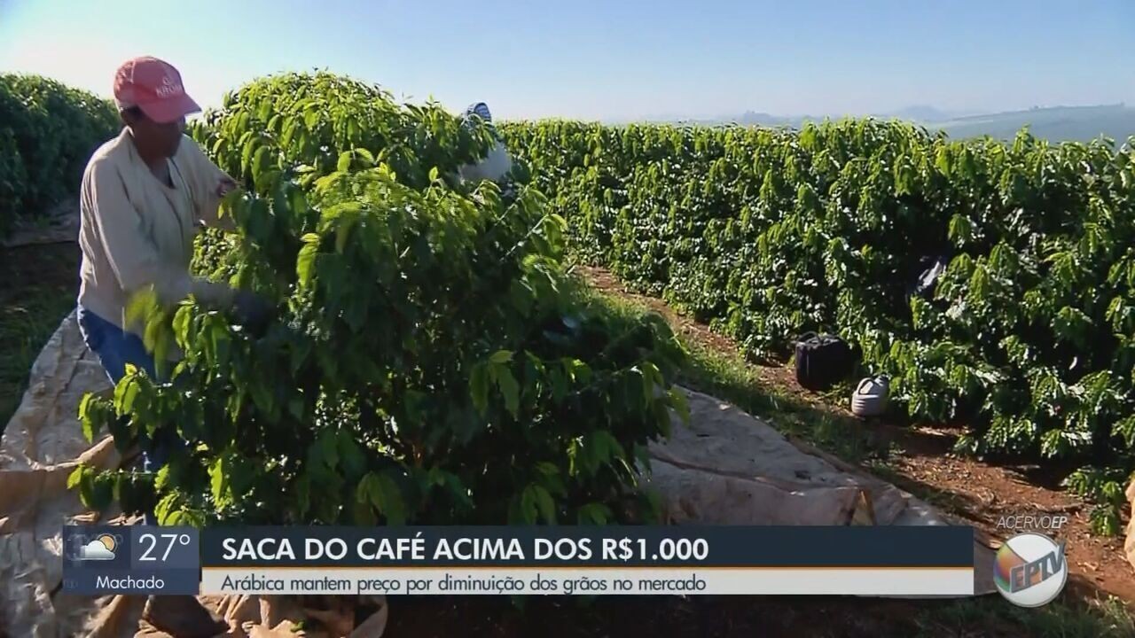 Fatores climáticos e demanda exterior fazem preço da saca do café ...