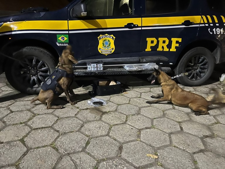 Jovem é preso com mais de 4 kg de haxixe na Serra das Araras, em Piraí