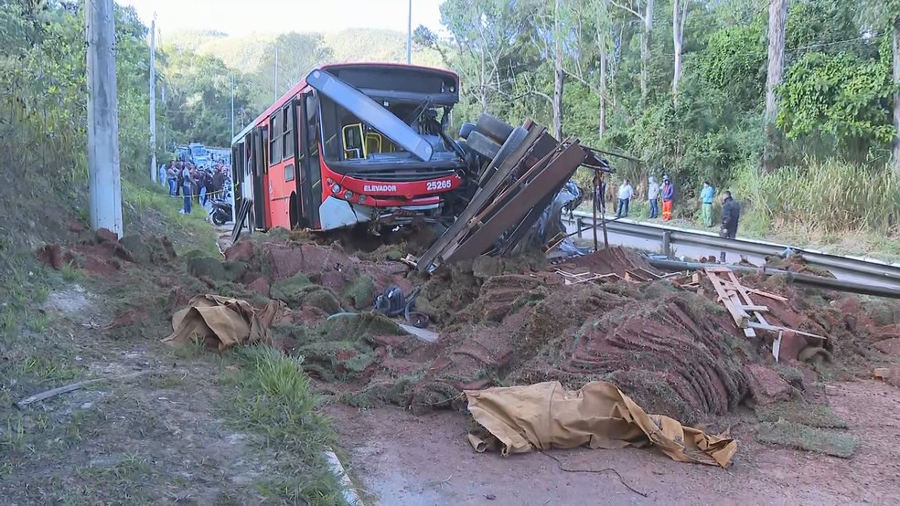 Caminhão levava carga de grama, que ficou espalhada pela pista — Foto: Reprodução/TV Globo