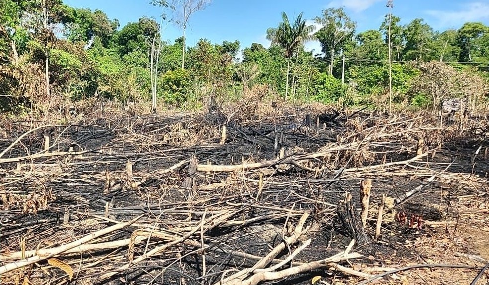 Estiagem severa também ajuda a aumentar o número de incêndios no Amazonas. — Foto: Divulgação/PC-AM