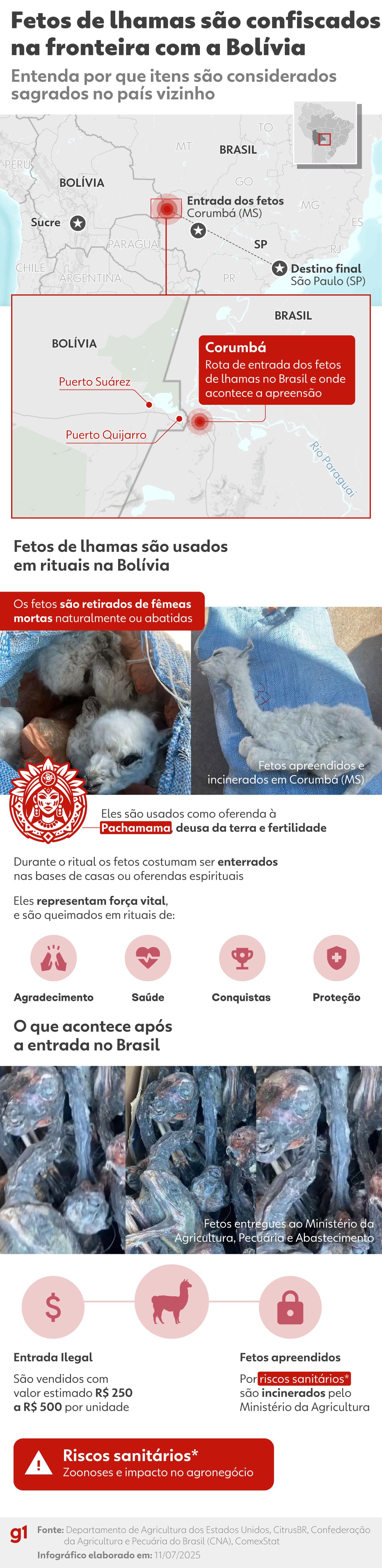 Por que fetos de lhamas usados em rituais na Bolívia representam risco sanitário ao Brasil