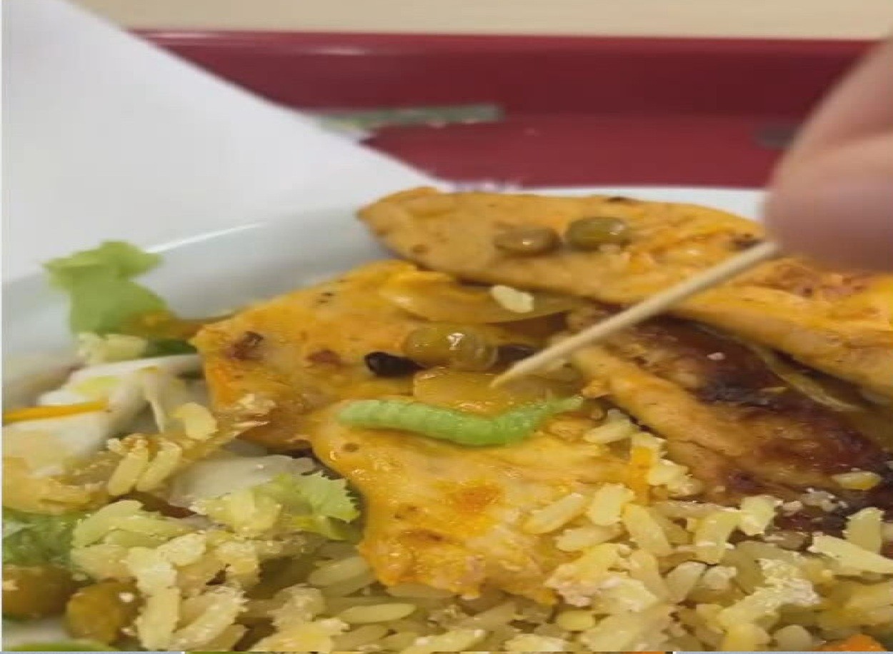 Estudantes da UFRPE denunciam que restaurante universitário serviu refeições com lagartas, moscas e carne de porco com pelos 