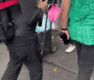 VÍDEO: pato com camisa do México chama a atenção na Copa; país teve outros 'animais torcedores'