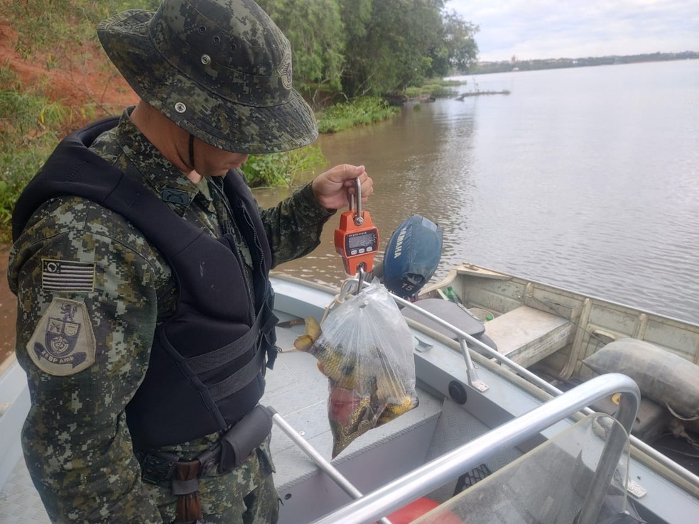 Idoso é multado em mais de R$ 1 mil por pescar durante a Piracema em Panorama (SP) — Foto: Polícia Ambiental