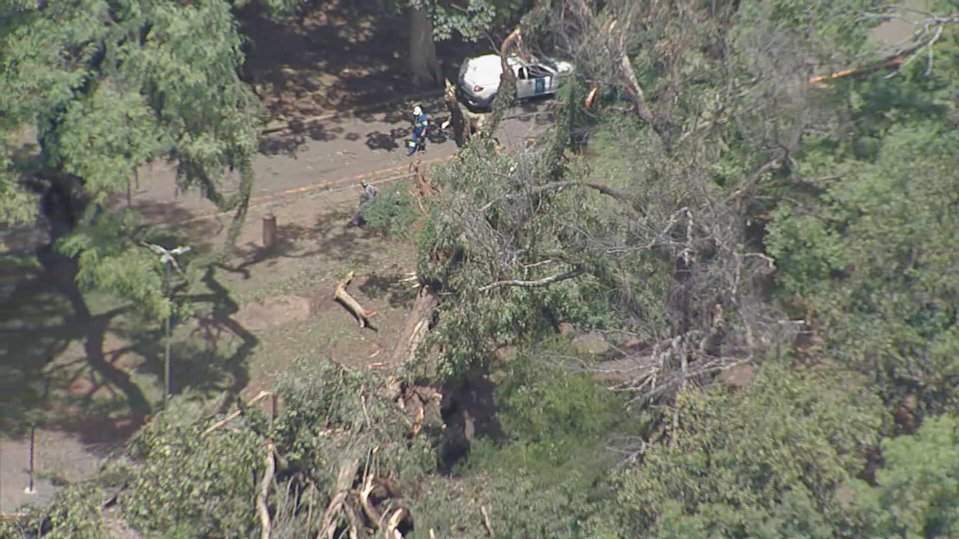 




Parque Ibirapuera ficará fechada neste sábado após estragos da chuva 