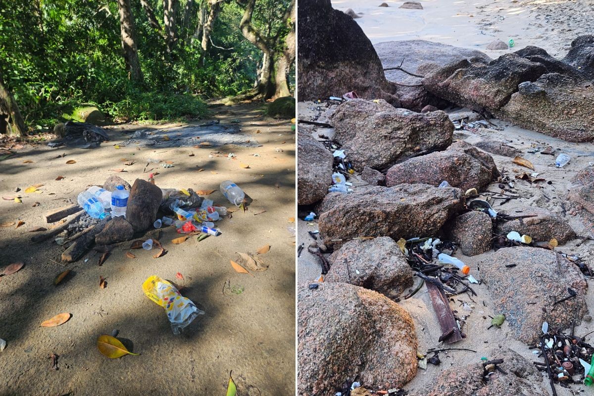 Lixo e acampamentos ilegais ameaçam área de proteção na Praia do Sangava, em Guarujá