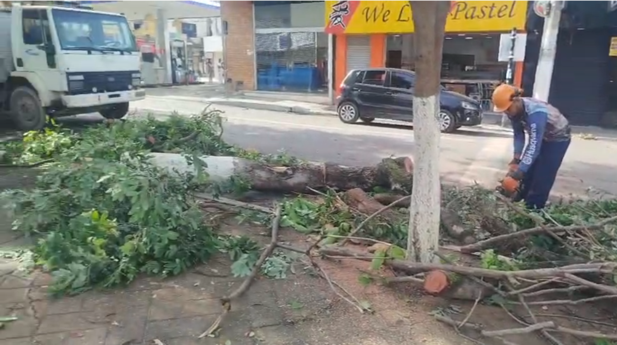 Temporal arrasta ponte, provoca queda de árvores e destelhamentos em Teófilo Otoni 