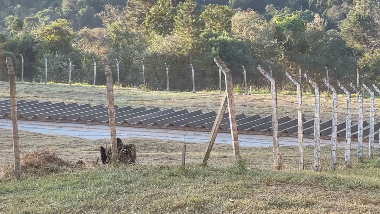 Criado 12 anos antes de acidente radioativo com Césio-137, 'lixo' atômico no interior de SP revoltou moradores e segue armazenado