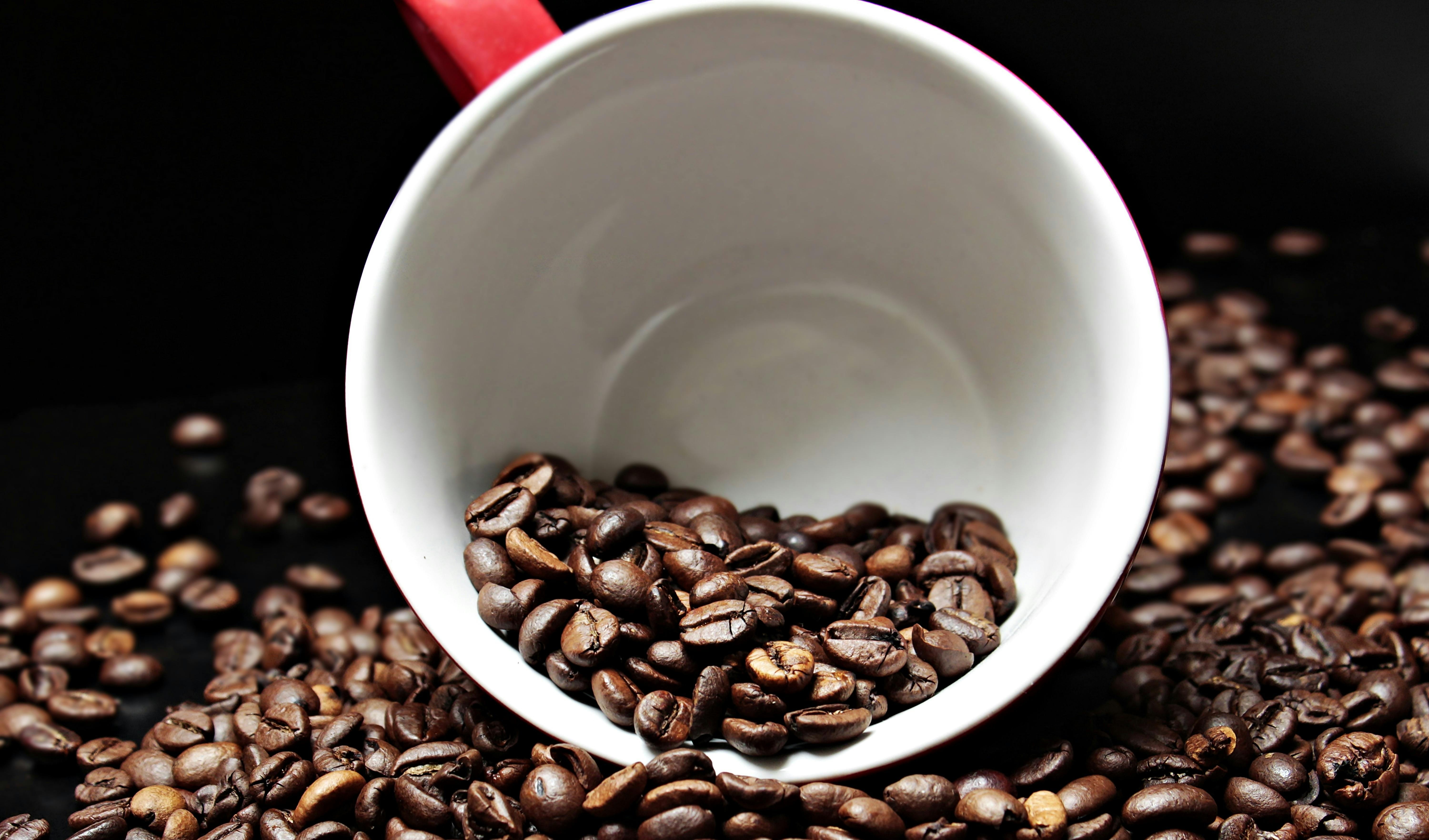 Vício de Café Revelado: Por Que o Mundo Não Consegue Viver Sem Essa Bebida?