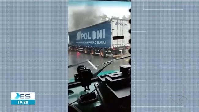 Espécie de abelha sem ferrão única do Espírito Santo corre risco de extinção