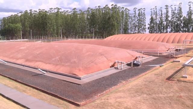 Resíduos de milho viram biogás, reduzem custos de produção e aumentam sustentabilidade no Paraná