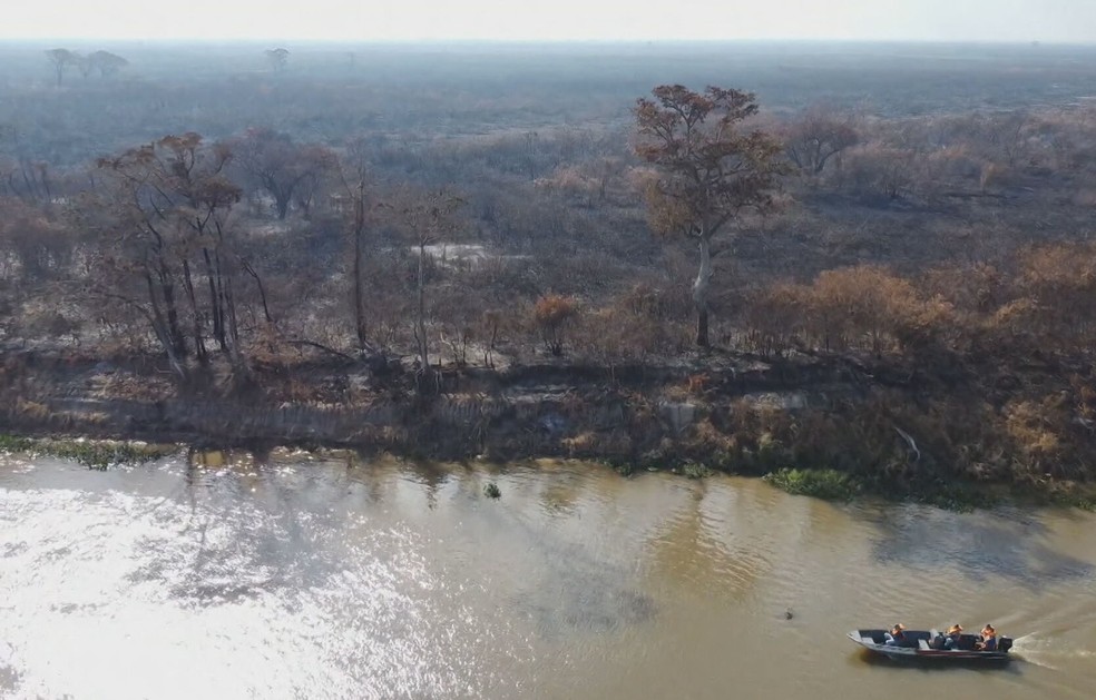 Incêndios no Pantanal prejudicam o ecoturismo da região — Foto: Reprodução/TV Globo