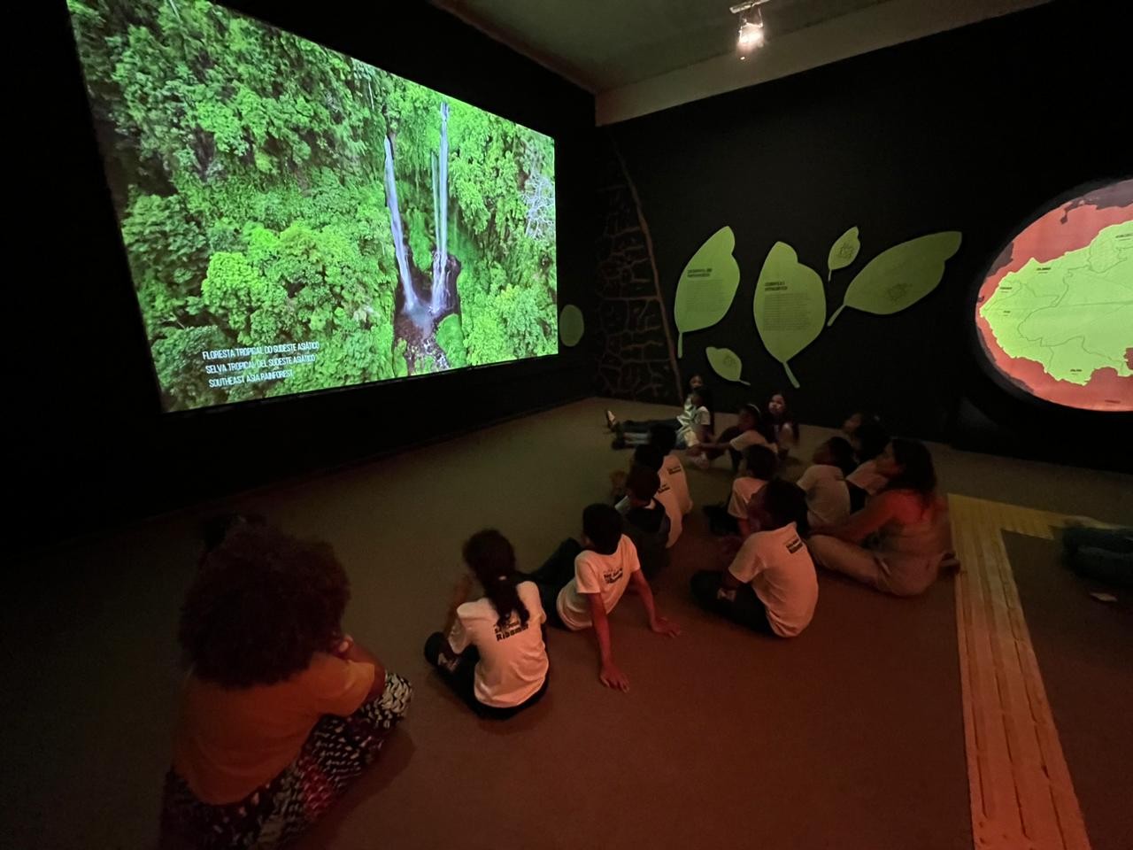 Exposição ‘Fruturos - Tempos Amazônicos’, do Museu do Amanhã (RJ), faz última semana em Belém