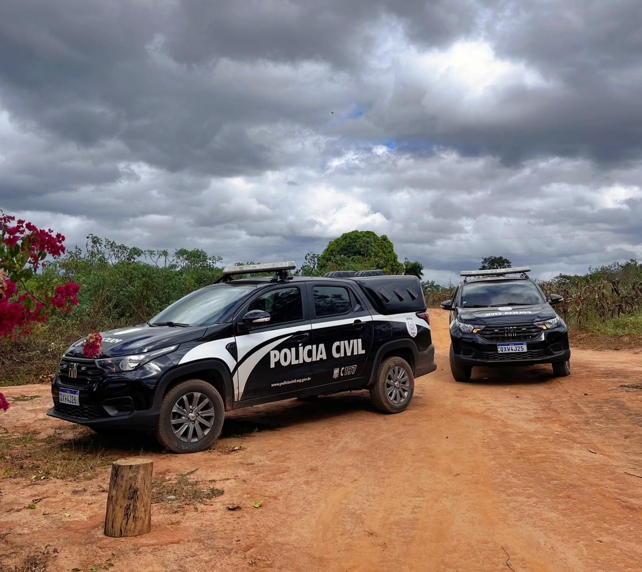 Polícia cumpre mandados de internação contra adolescentes suspeitos de estuprar e filmar abuso de menina em Taiobeiras