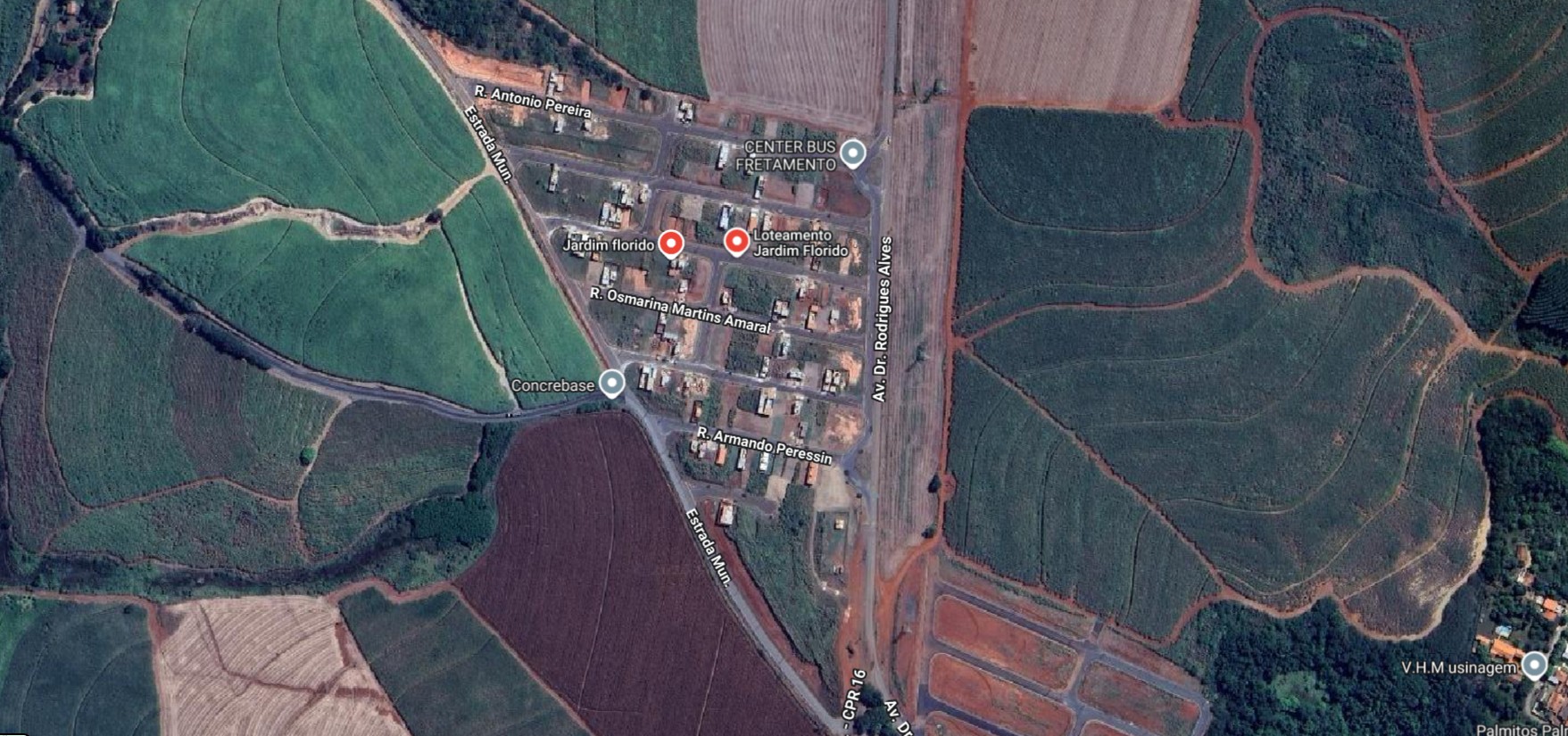 Corpo de mulher com sinais de violência e sem braço é encontrado em zona rural no interior de SP