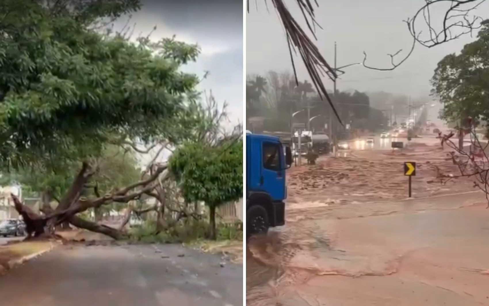 Temporal derruba árvores, alaga avenidas e deixa carros ilhados em cidades de Goiás