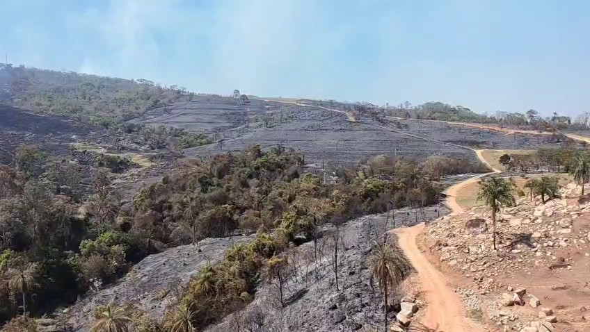 VÍDEO: imagens de drone mostram área destruída por incêndio em Espírito Santo do Pinhal