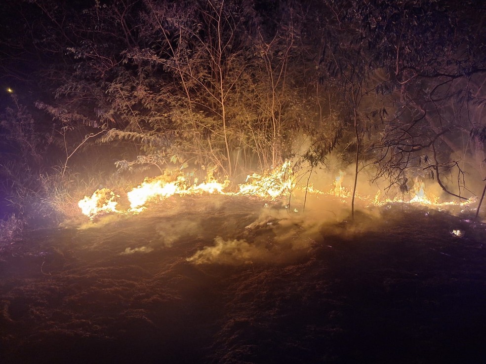 Incêndio de grandes proporções atinge vegetação rasteira e APP, em Martinópolis (SP) — Foto: Defesa Civil