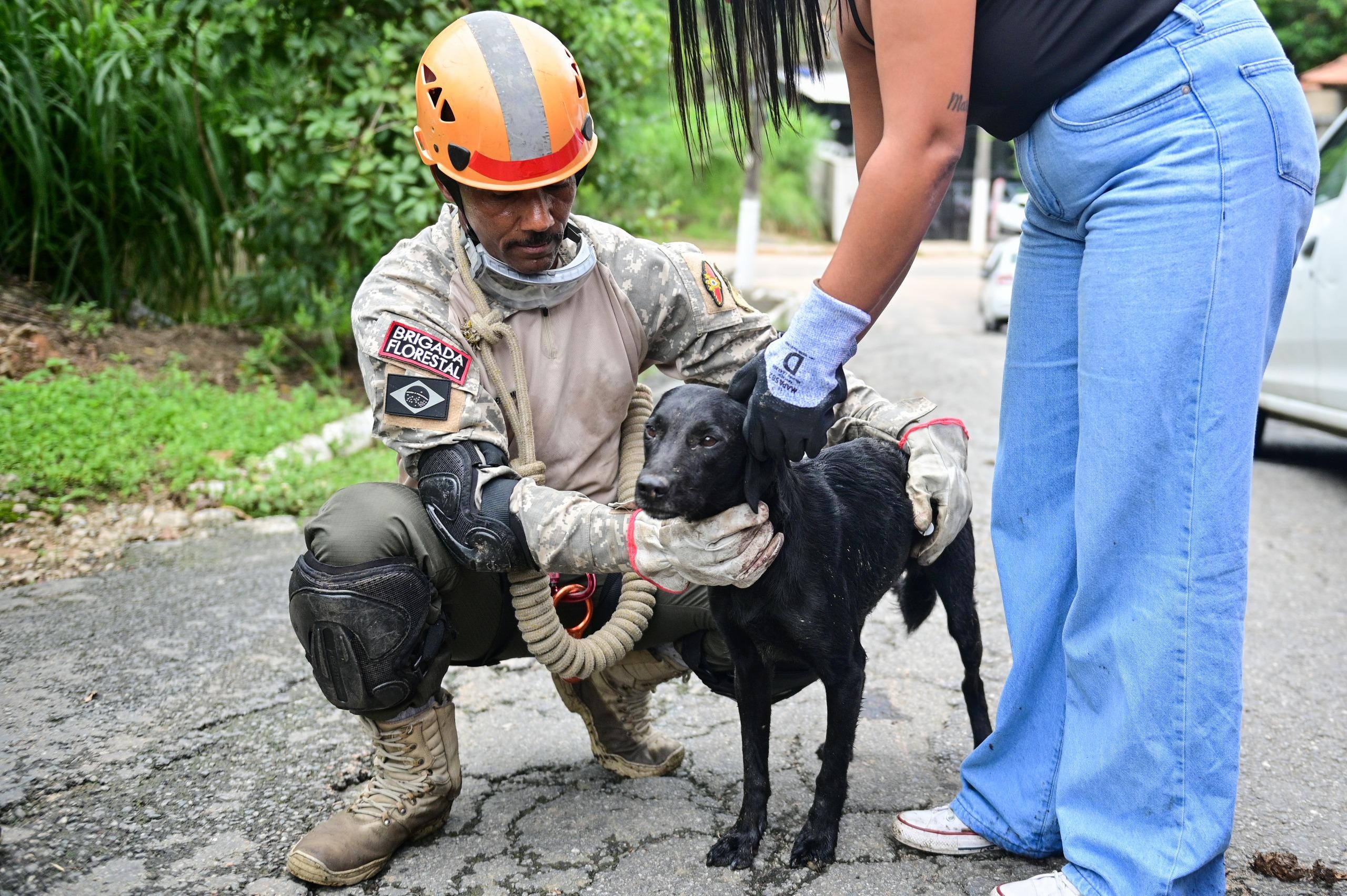 Após mais de 24 horas preso em buraco, cão é resgatado no Centro de Barra Mansa