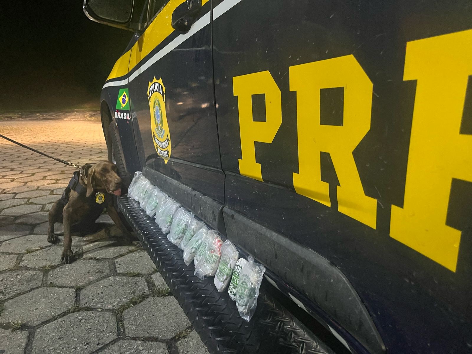 Jovem é Presa Transportando Drogas em ônbo de Viagem na Serra Das Araras, Em Piraí