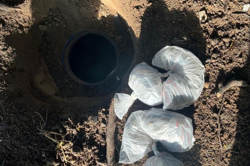 Opera&ccedil;&atilde;o foi feita em tr&ecirc;s cidades do Vale do Para&iacute;ba &mdash; Foto: Pol&iacute;cias Militar e Civil