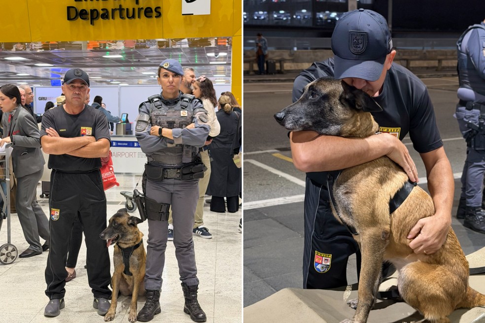 Cabo Vesco, da PM de SP, e a K9 Kira embarcaram para os EUA na terça-feira (11) — Foto: Cedidas/8ºBaep
