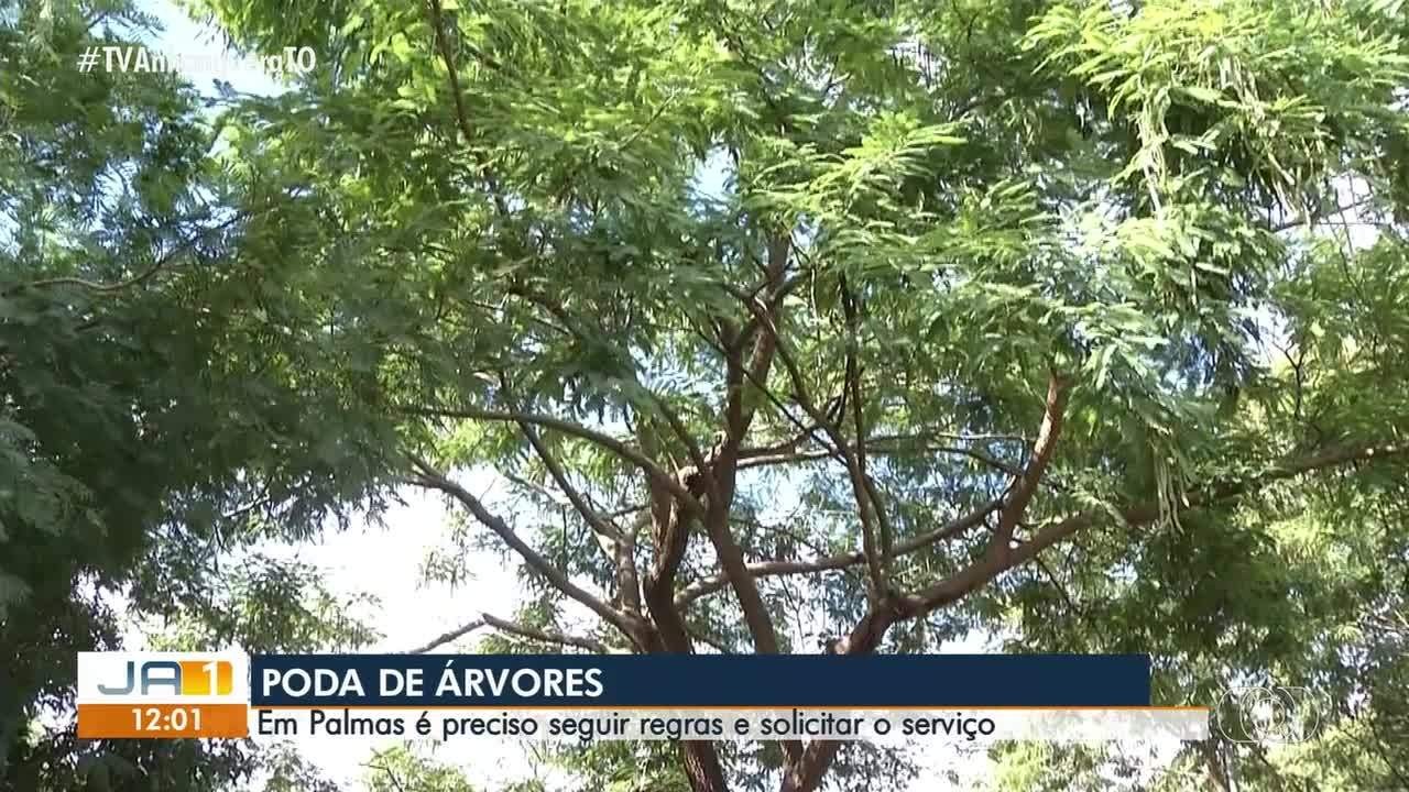 VÍDEOS: Jornal Anhanguera 1ª Edição-TO desta sábado, 10 de outubro de 2026