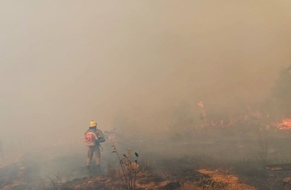 Controle de queimadas em Apu, no Amazonas — Foto: Divulgao/CBMAM