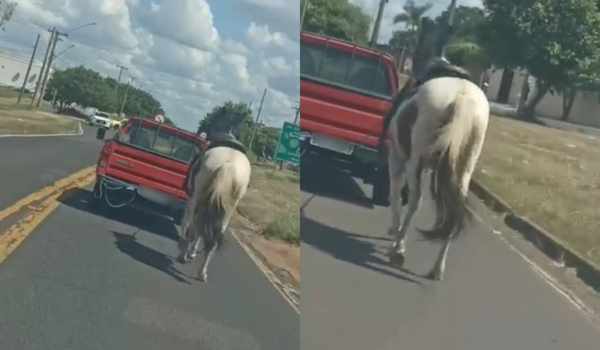 VÍDEO: motorista é flagrado puxando cavalo com carro em Presidente Prudente