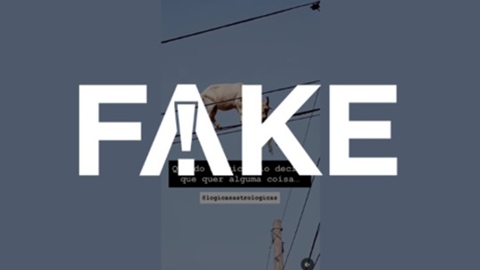 É #FAKE vídeo que mostra cabra comendo folhas em cima de fios elétricos - Fato ou Fake consultou um perito e um veterinário, que apontaram elementos inverossímeis na cena que viralizou. Veja a explicação para cada um desses elementos.